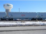 CN 115623 is new to RRPA!